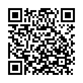 家园口袋战争