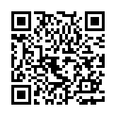 小小枪次元危机