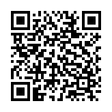 次世代faiz模拟器